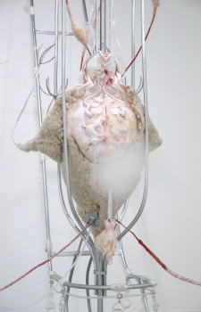 Anais Gauthier - credits Sebastien Pons