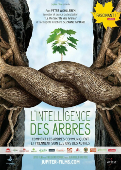 lintelligence-des-arbres