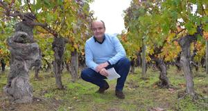 poussier-cite-du-vin