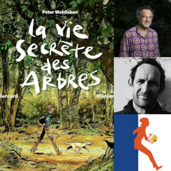 rencontre-vie-secrete-des-arbres